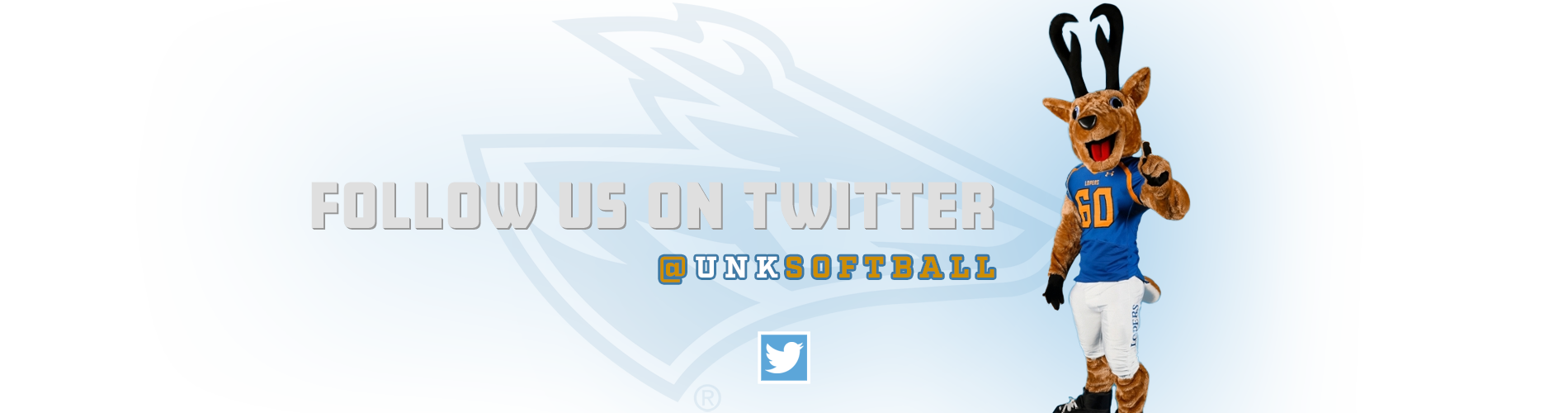 Loper Softball Camps